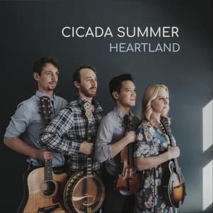 Cicada Summer